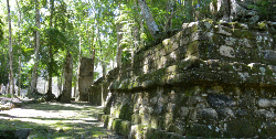 Site maya de Calakmul, Ruta Becan, www.terre-maya.com